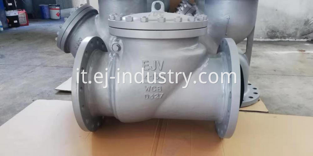 Check Valve 1